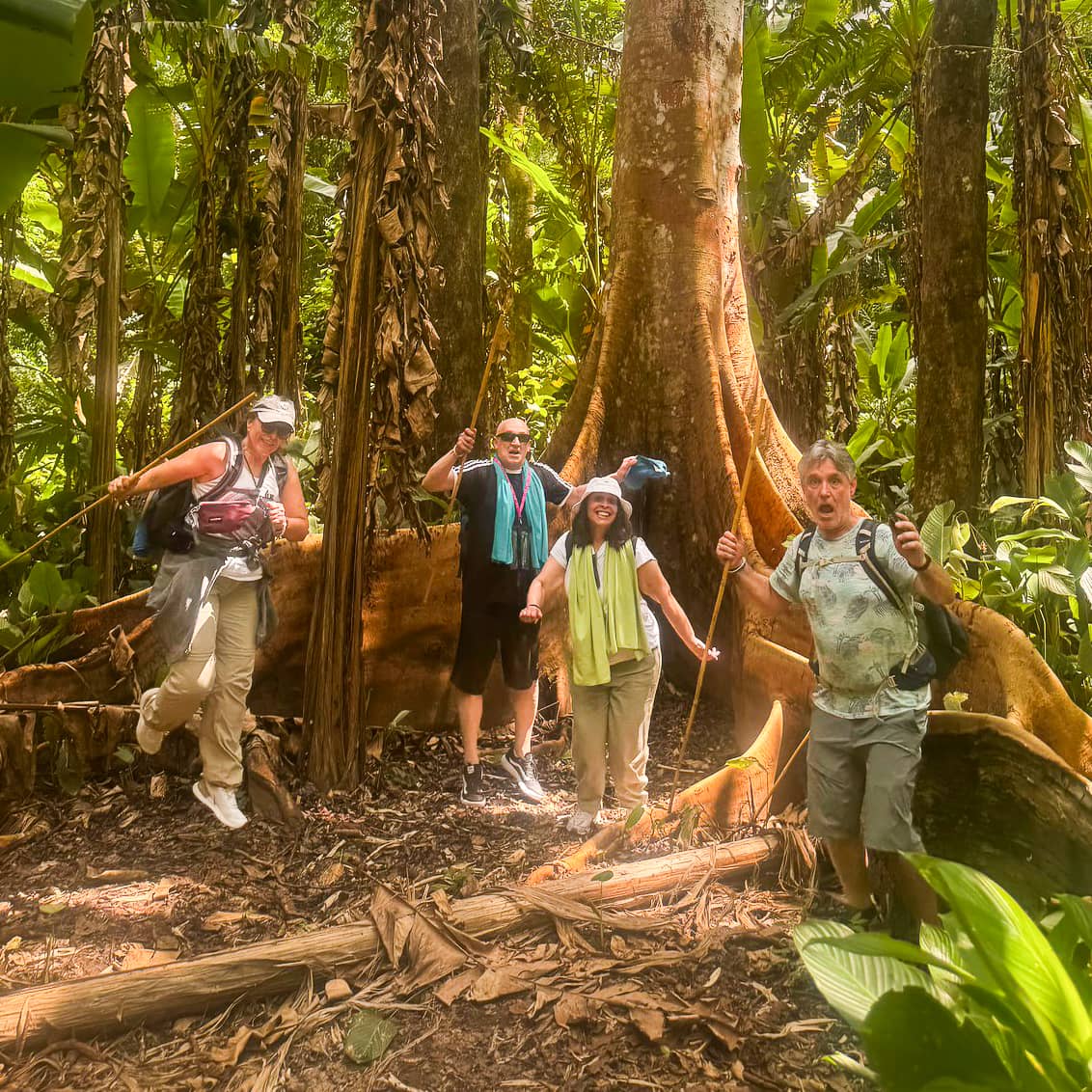 Trek group standing by the massive buttress roots of a rainforest tree.